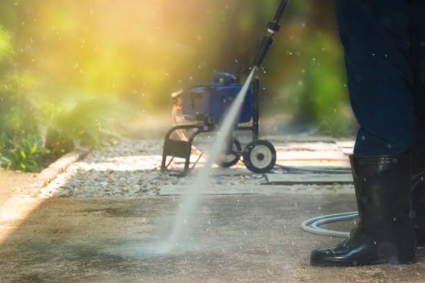 Best Soft Washing  in Grand Ledge, MI